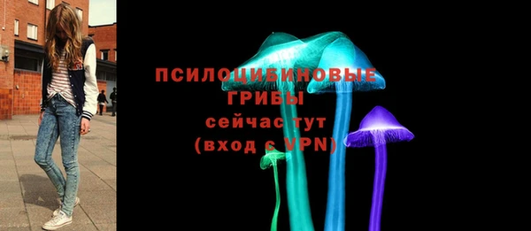 СК Алексин