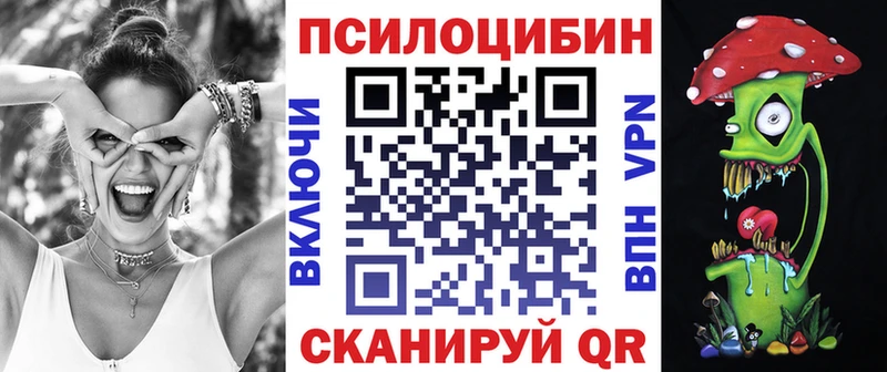 наркотики Дмитровск Псилоцибиновые грибы Magic Shrooms